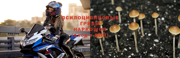 гашик Пестово