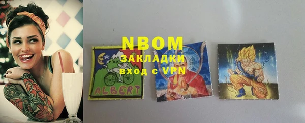 гашик Пестово