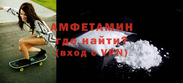 гашик Пестово