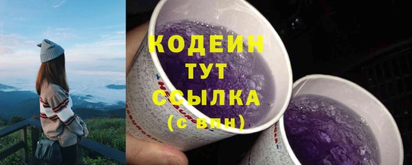 молекула духа Переславль-Залесский