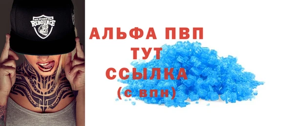 гашик Пестово