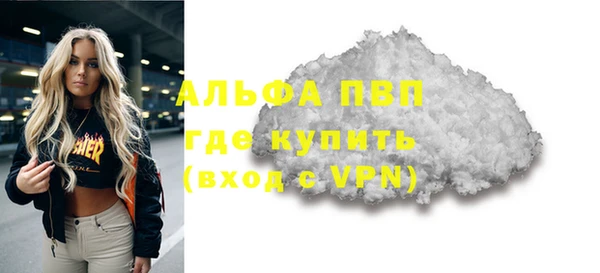 стаф Осташков