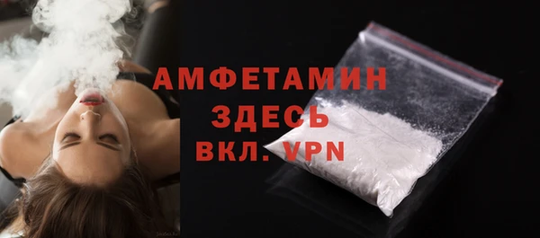 гашик Пестово