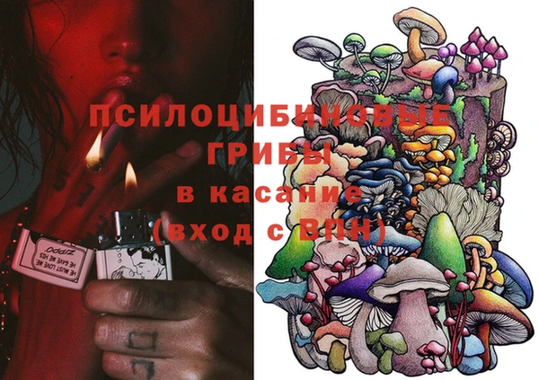 молекула духа Переславль-Залесский