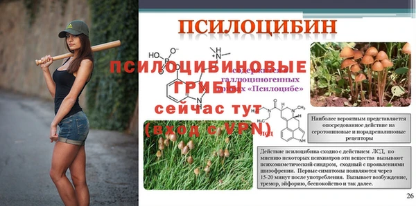 mdma Пересвет