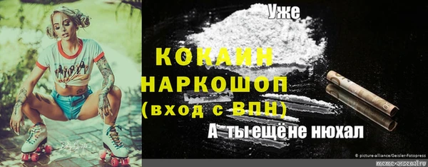 гашик Пестово