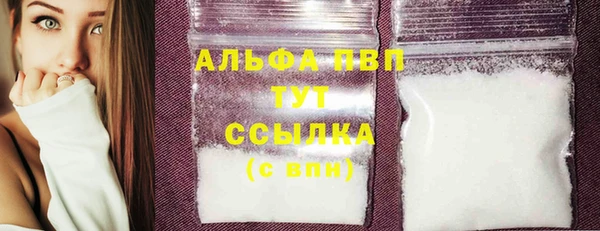 гашик Пестово