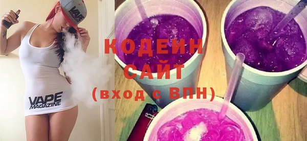 гашик Пестово